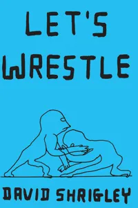 Let's Wrestle_cover