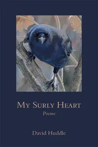 My Surly Heart_cover