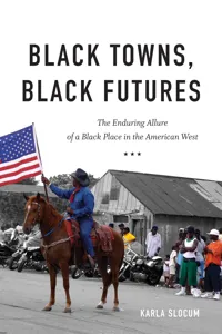 Black Towns, Black Futures_cover