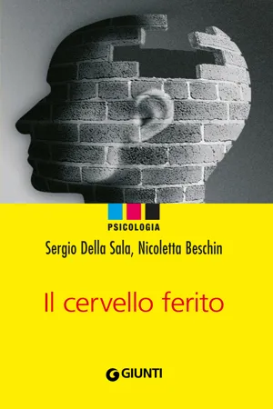 Il cervello ferito