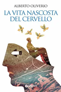 La vita nascosta del cervello_cover