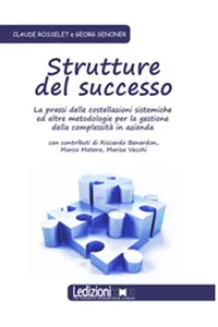 Strutture del successo_cover