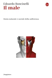 Il male_cover