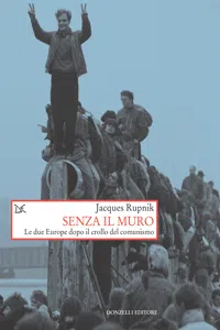 Senza il muro_cover