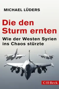 Die den Sturm ernten_cover