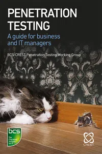 Penetration Testing_cover
