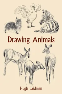 Drawing Animals_cover