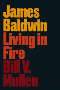 James Baldwin_cover