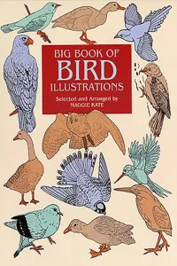 Big Book of Bird Illustrations_cover