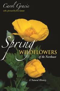 Spring Wildflowers of the Northeast_cover