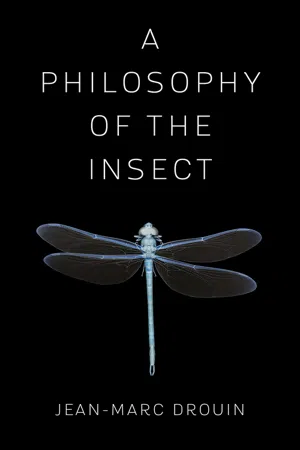 A Philosophy of the Insect