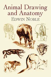Animal Drawing and Anatomy_cover