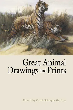 Great Animal Drawings and Prints