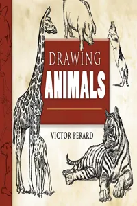 Drawing Animals_cover