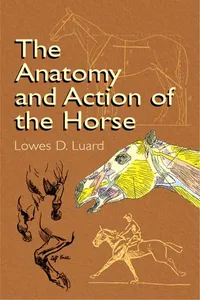 The Anatomy and Action of the Horse_cover