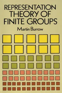 Representation Theory of Finite Groups_cover