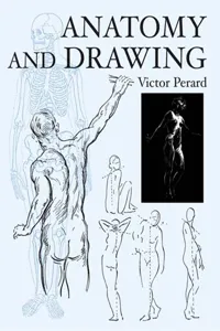 Anatomy and Drawing_cover