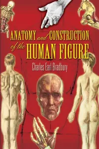 Anatomy and Construction of the Human Figure_cover