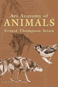 Art Anatomy of Animals_cover