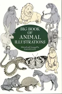 Big Book of Animal Illustrations_cover