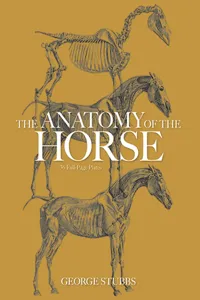 The Anatomy of the Horse_cover