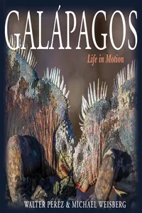Galápagos_cover