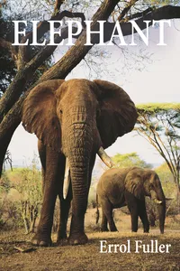 Elephant_cover