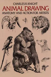 Animal Drawing_cover