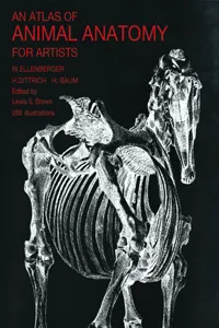An Atlas of Animal Anatomy for Artists_cover