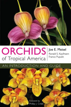 Orchids of Tropical America