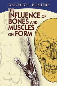 The Influence of Bones and Muscles on Form_cover