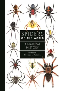 Spiders of the World_cover