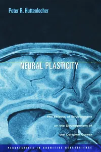 Neural Plasticity_cover