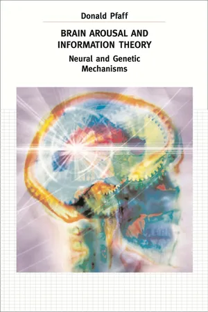 Brain Arousal and Information Theory