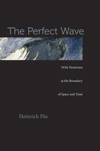 The Perfect Wave_cover