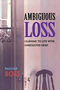 Ambiguous Loss_cover