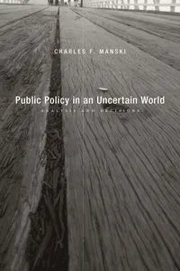 Public Policy in an Uncertain World_cover