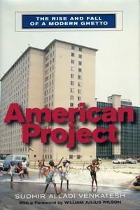 American Project_cover