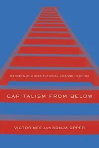 Capitalism from Below_cover