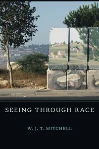 Seeing Through Race_cover