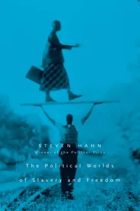 The Political Worlds of Slavery and Freedom_cover