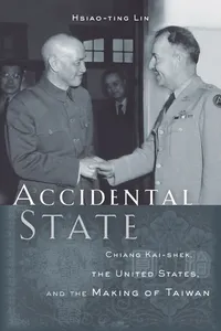 Accidental State_cover