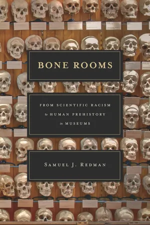 Bone Rooms