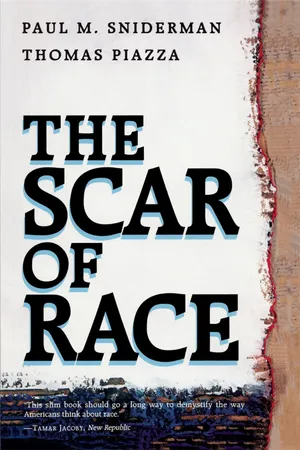 The Scar of Race
