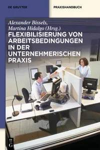 Flexibilisierung von Arbeitsbedingungen in der unternehmerischen Praxis_cover