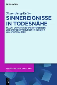Sinnereignisse in Todesnähe_cover