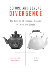 Before and Beyond Divergence_cover
