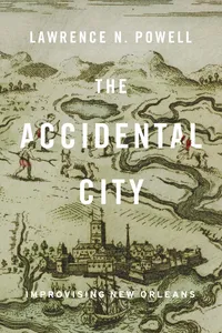 The Accidental City_cover