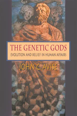 Book cover image for: The Genetic Gods