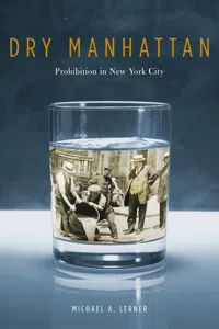 Dry Manhattan_cover